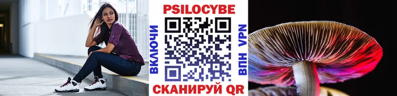 Псилоцибиновые грибы Cubensis  наркота  Саки 